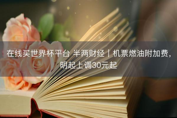 在线买世界杯平台 半两财经｜机票燃油附加费，明起上调30元起