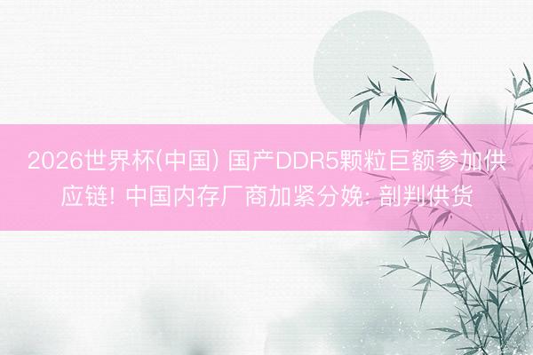 2026世界杯(中国) 国产DDR5颗粒巨额参加供应链! 中国内存厂商加紧分娩: 剖判供货