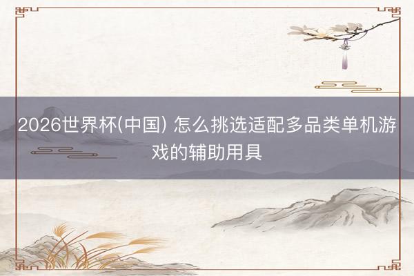 2026世界杯(中国) 怎么挑选适配多品类单机游戏的辅助用具