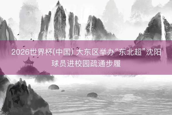 2026世界杯(中国) 大东区举办“东北超”沈阳球员进校园疏通步履