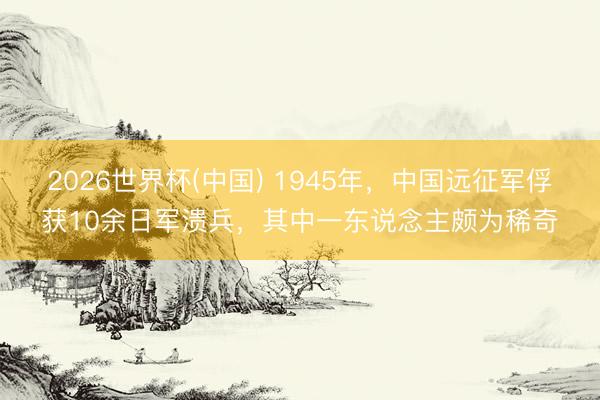 2026世界杯(中国) 1945年,中国远征军俘获10余日军溃兵,其中一东说念主颇为稀奇