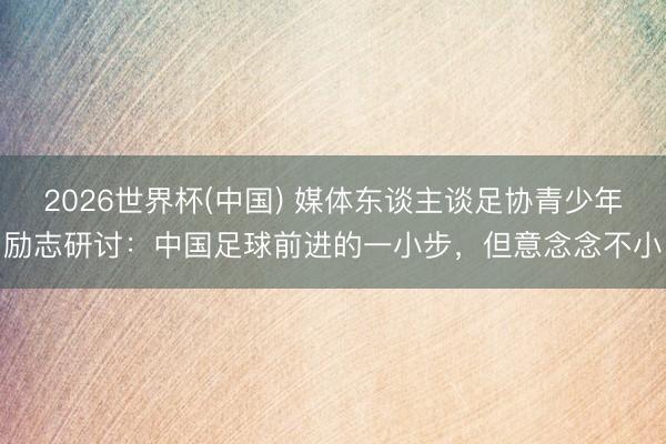 2026世界杯(中国) 媒体东谈主谈足协青少年励志研讨：中国足球前进的一小步，但意念念不小