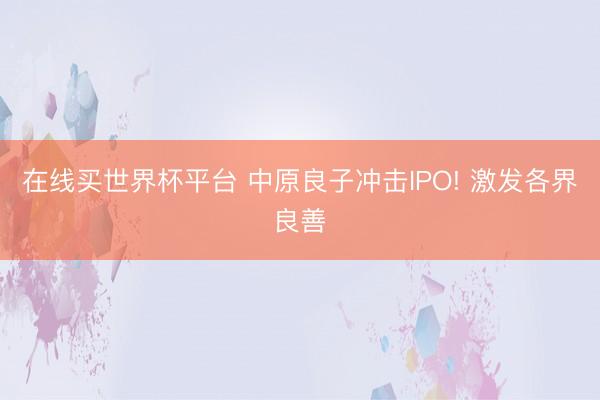 在线买世界杯平台 中原良子冲击IPO! 激发各界良善