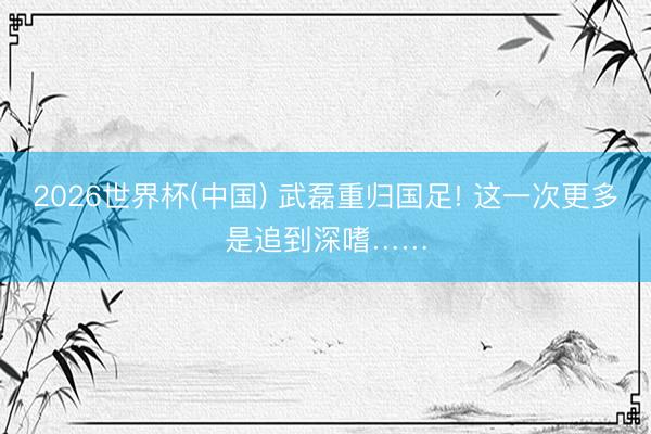 2026世界杯(中国) 武磊重归国足! 这一次更多是追到深嗜……