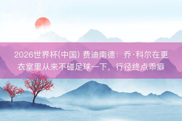 2026世界杯(中国) 费迪南德：乔·科尔在更衣室里从来不碰足球一下，行径终点乖癖