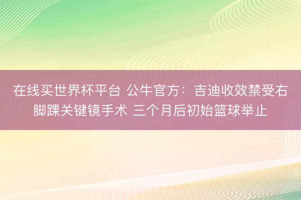 在线买世界杯平台 公牛官方：吉迪收效禁受右脚踝关键镜手术 三个月后初始篮球举止