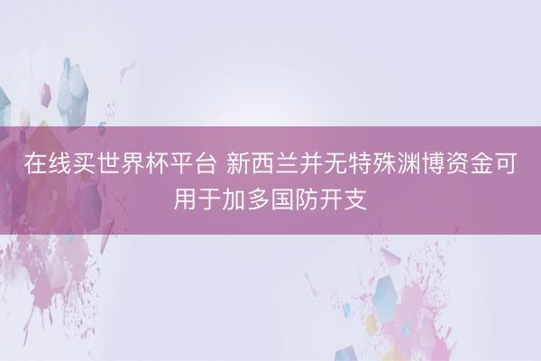在线买世界杯平台 新西兰并无特殊渊博资金可用于加多国防开支
