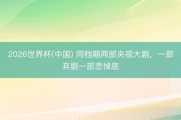 2026世界杯(中国) 同档期两部央视大剧,一部弃剧一部悲悼底