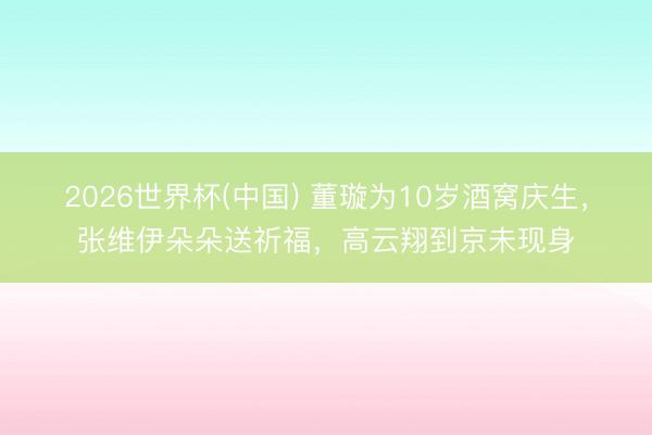 2026世界杯(中国) 董璇为10岁酒窝庆生，张维伊朵朵送祈福，高云翔到京未现身