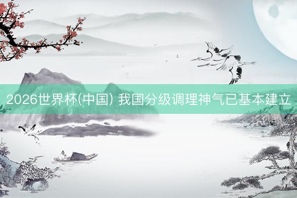 2026世界杯(中国) 我国分级调理神气已基本建立