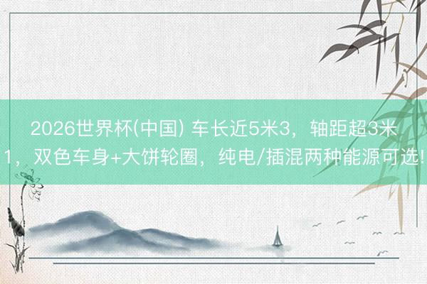 2026世界杯(中国) 车长近5米3，轴距超3米1，双色车身+大饼轮圈，纯电/插混两种能源可选!