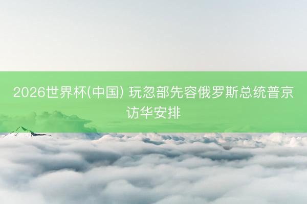 2026世界杯(中国) 玩忽部先容俄罗斯总统普京访华安排