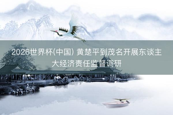 2026世界杯(中国) 黄楚平到茂名开展东谈主大经济责任监督调研