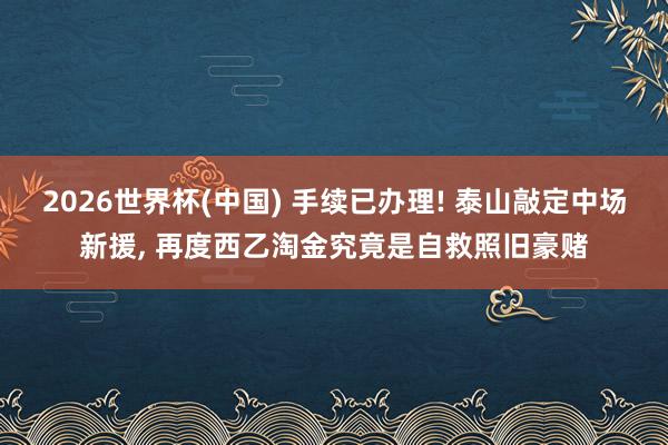 2026世界杯(中国) 手续已办理! 泰山敲定中场新援， 再度西乙淘金究竟是自救照旧豪赌